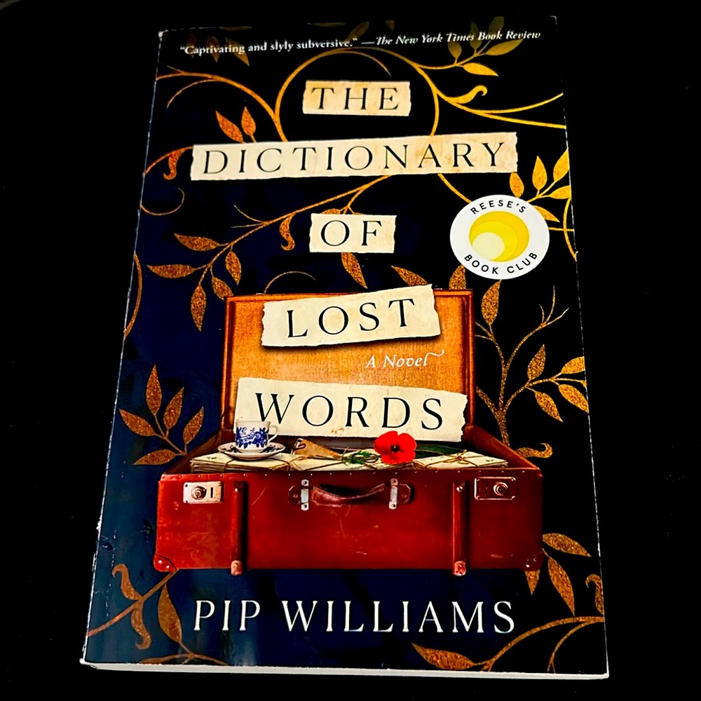 The Dictionary of Lost Words Book